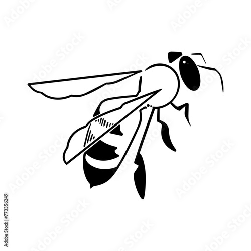 Wasp_Yellowjacket_Bug_Bee