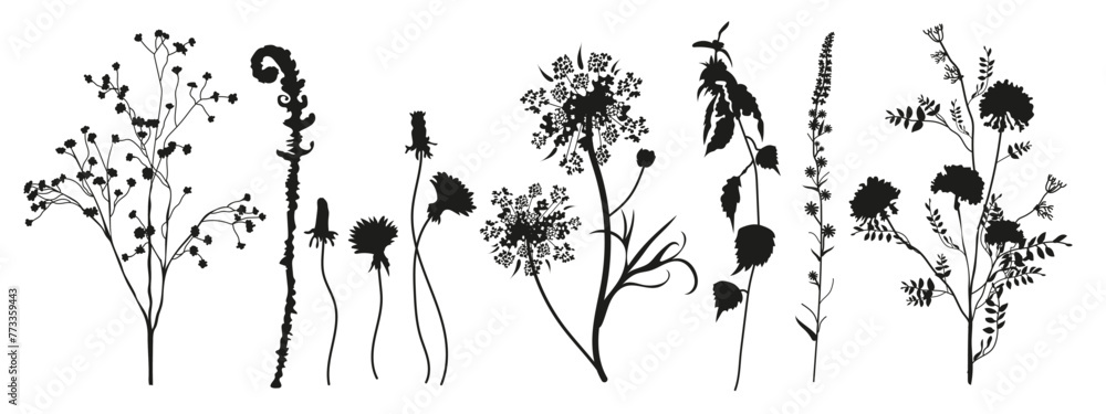 Naklejka premium Floral collection of black silhouettes of meadow herbs. Branches, leaves, herbs, flowers, wild plants. Wildflowers. Floral elements for your design. Vector illustration.