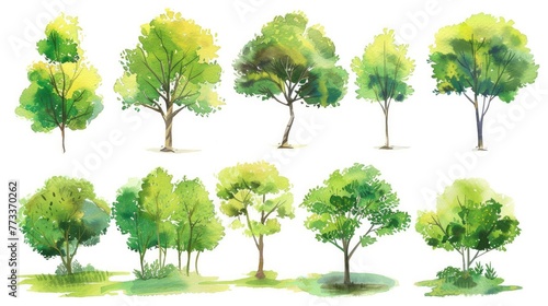 Spring botanical section including a set of watercolor green trees isolated on a white backdrop for drawing landscapes.