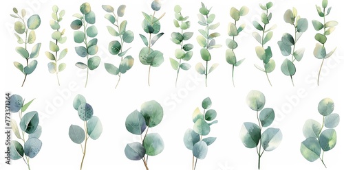 Multiple green leaves spread out on a clean white backdrop, creating a vibrant and refreshing visual