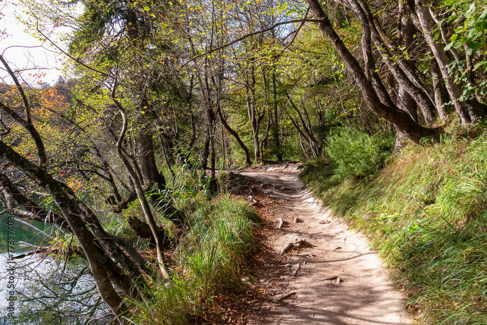 Enchanting hiking trail through idyllic forest in dreamy Plitvice lakes National Park, Karlovac, Croatia, Europe. Walking in serene beauty of natural autumn colored landscape. Harmony in nature Enchanting hiking trail through idyllic forest in dreamy Plitvice lakes National Park, Karlovac, Croatia, Europe. Walking in serene beauty of natural autumn colored landscape. Harmony in nature