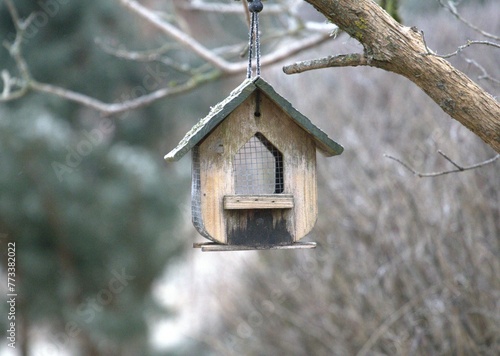 close-up of an empty abandoned bird feeder tied to a tree branch