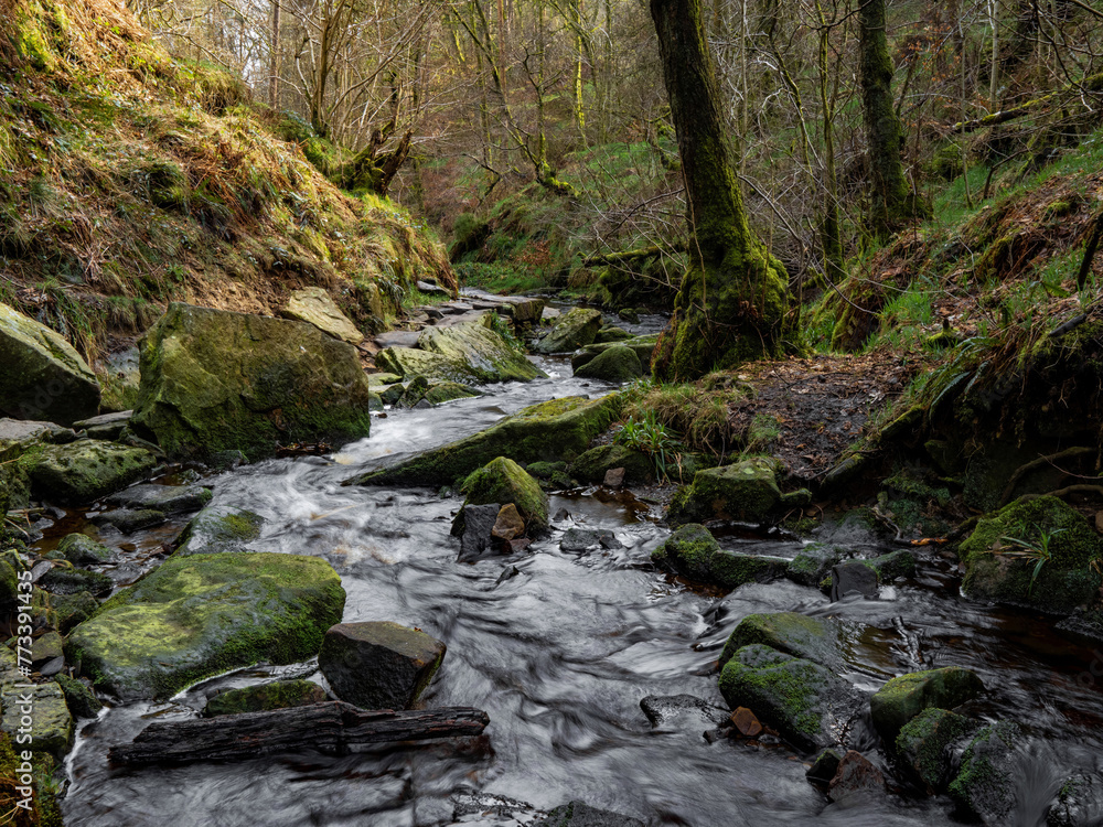 Mountain river in England, dreamy scenery, moss-covered stones and beautiful waterfall in the forest. Sunny creek in spring cloudy Yorkshire evening. small cascade surrounded by moss and autumn leaves Mountain river in England, dreamy scenery, moss-covered stones and beautiful waterfall in the forest. Sunny creek in spring cloudy Yorkshire evening. small cascade surrounded by moss and autumn leaves