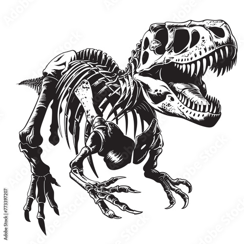 Tyrannosaurus Rex skeleton isolated on white background. Vector illustration.