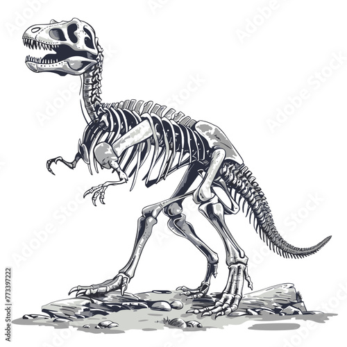 Tyrannosaurus Rex skeleton. Vector illustration isolated on white background.