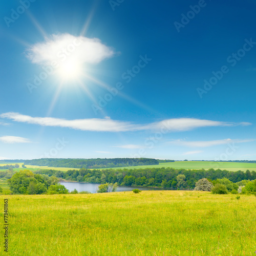 Summer pasture with fresh grass and blue sky with sun.
