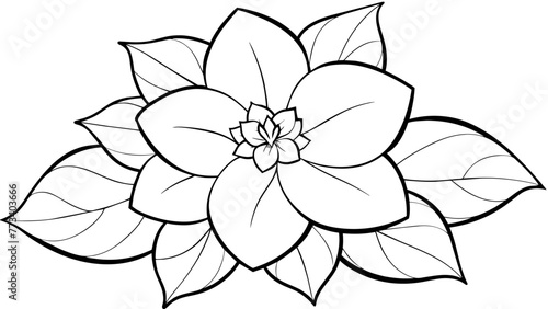 Captivating Hellebore Flower Vector Illustrations Explore Nature's Beauty in Stunning Detail