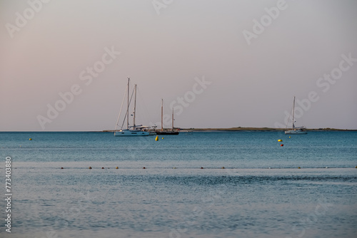 Luxury sailing boats floating in port of coastal town Medulin, Pomer Bay, Kamenjak nature park, Istria peninsula, Croatia, Europe. Cruising along coastline of Kvarner Gulf, Adriatic Mediterranean Sea photo