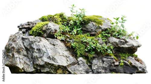 Large rocks with lush overgrown foliage and moss isolated on white, nature decoration element
