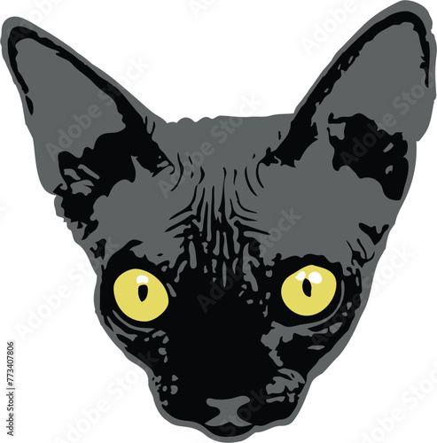 Black hairless sphynx cat breed illustration vector