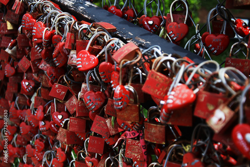 padlocks that seal love between people, hanging on a fence
