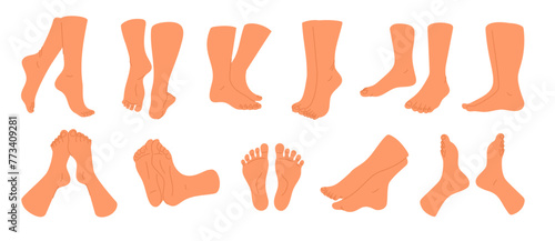 Naked feet. Different angles and positions of human legs. Male ankles. Female barefoot toes. Front, side and back view. Body parts. Tiptoe pose. Spa pedicure. Skin care. Garish vector set photo