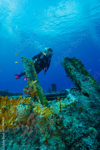 Fototapeta Naklejka Na Ścianę i Meble -  A female Scuba diver exploring the WW II wreck of the Benwood off Key Largo, Florida