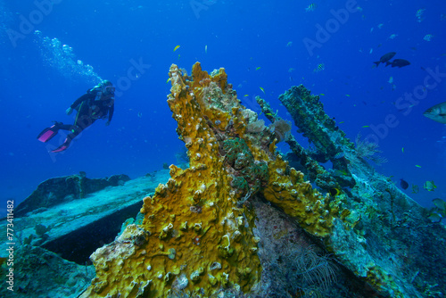 Diver exploring the WW II wreck of the Benwood off Key Largo, Florida photo