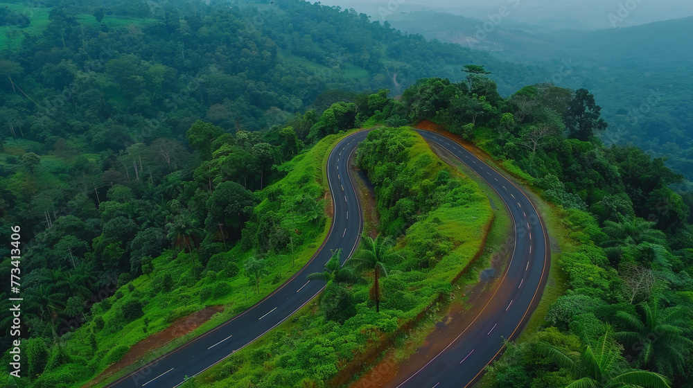 curvy road in the forest