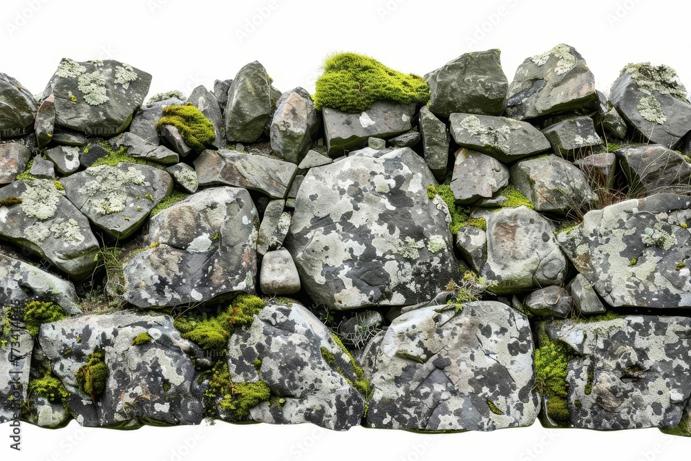 Vintage stone texture with moss and lichen, isolated on white background, natural rock pattern photo