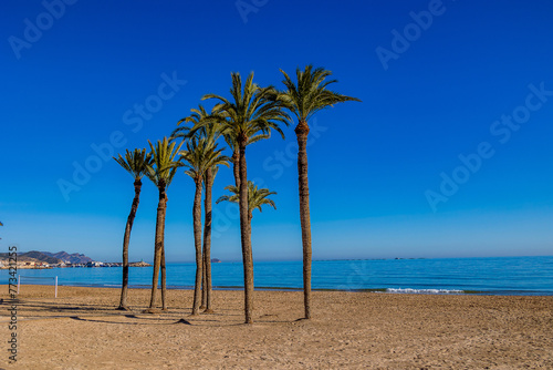landscape on the beach in spain with palm trees © Joanna Redesiuk