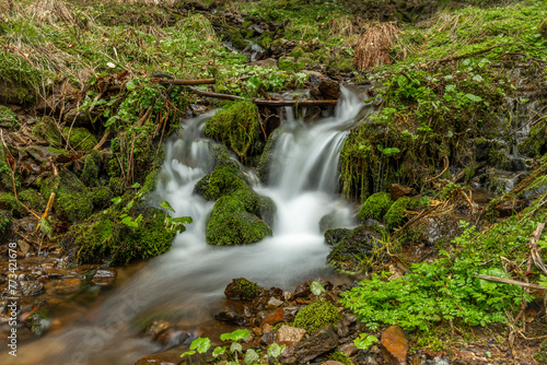 Veserice creek in spring color fresh morning near Jachymov town