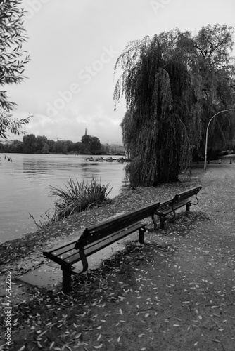 bench by the lake