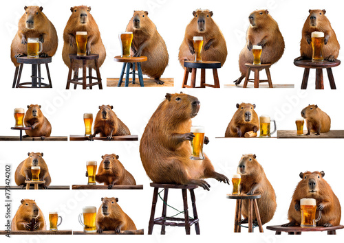 capybara drinks beer