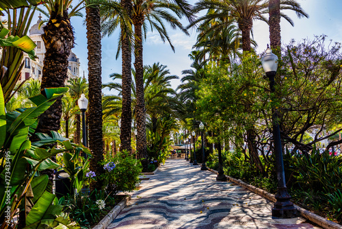 explanada  promenade in Alicante spain. photo