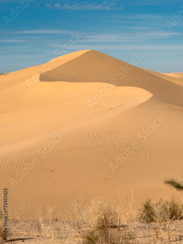 Wilderness Dune  Wind-blown texture on a dune in the Algodones Wilderness Area.  