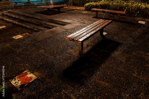 深夜の公園のベンチ photo