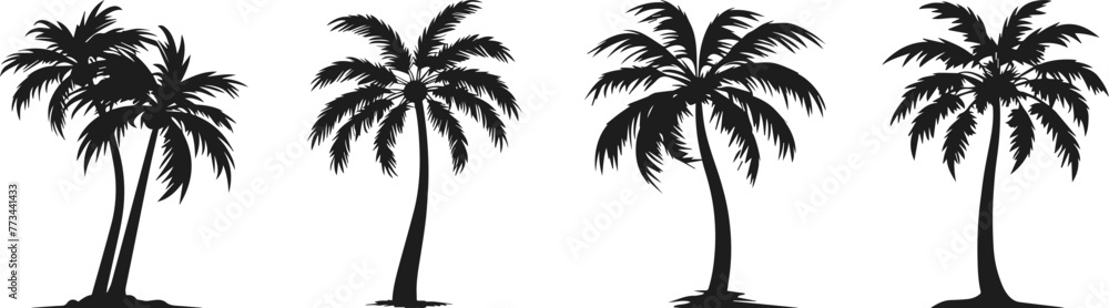 Silhouettes of palm trees vector. set of palm trees vector silhouette. Silhouettes of palm trees vector. set of palm trees vector silhouette.