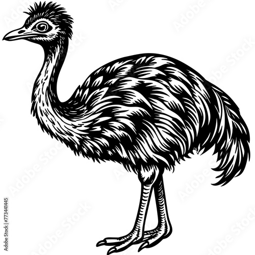 emu silhouette vector art illustration