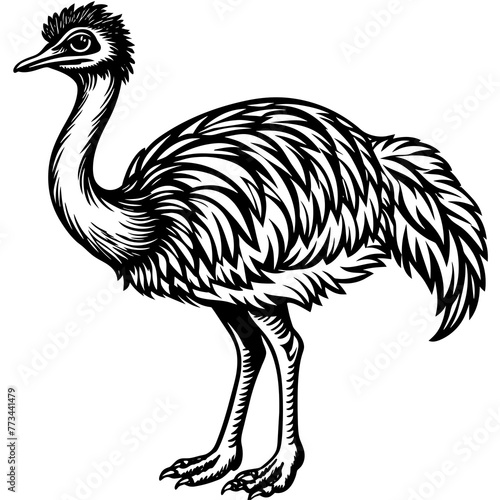 emu silhouette vector art illustration