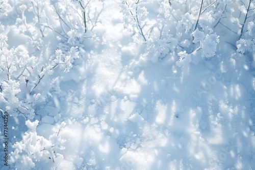 Winter White. Beautiful Snowy Background with Christmas Frost © AIGen