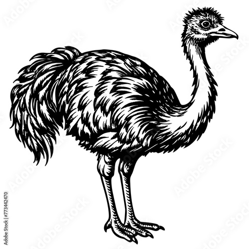 ostrich silhouette vector art illustration