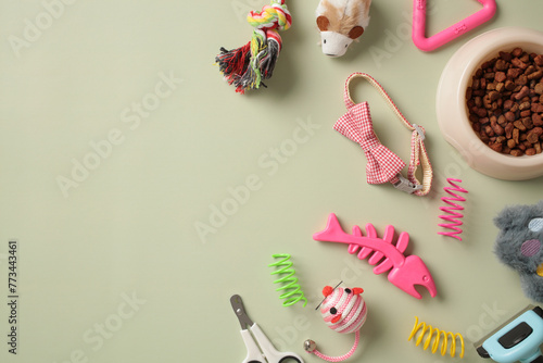 Pet care accessories and bowl of dry food on pastel green background. Flat lay, top view, copy space. photo