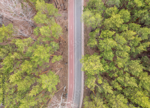 Aerial view of the road in the summer forest with green high pine or spruce trees. © Dmitrii Potashkin