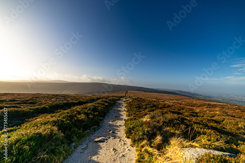 Caminata Tranquila: Un Sendero Sereno a Través de la Inmensidad Natural