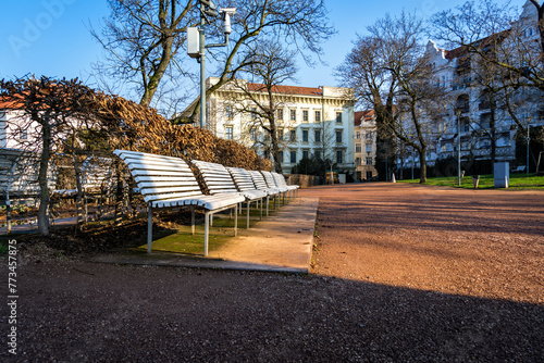 Wooden white benches in a park in the center of the city of Brno, Czech Republic.