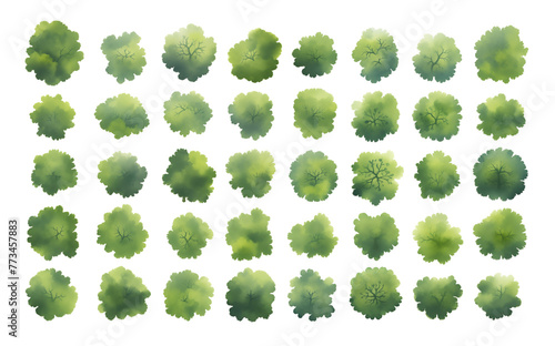 Various green trees, bushes and shrubs, top view for landscape design plan. Isolated watercolor illustration, PNG cutout.