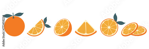 Set of fresh oranges. Orange fruit isolated on white background. Vector illustration