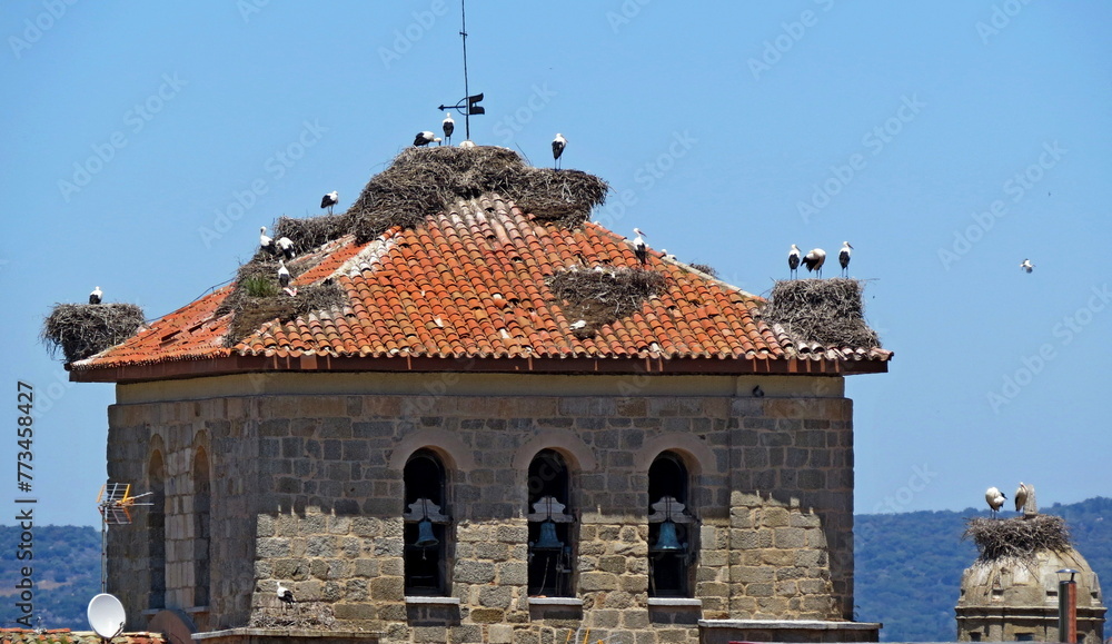 storks roof church nests twigs background blue sky bell tower piedrahita avila tourism