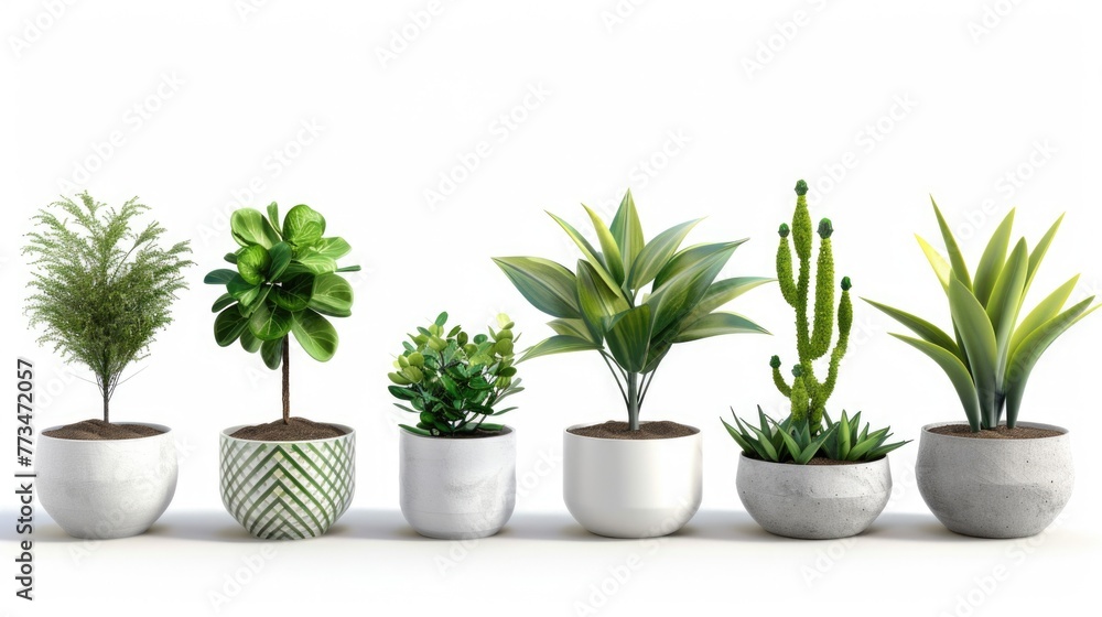 A row of potted plants on a clean white surface. Suitable for interior design concepts