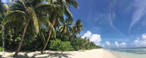 View of Palm trees in beautiful tropical sea on a sunny day