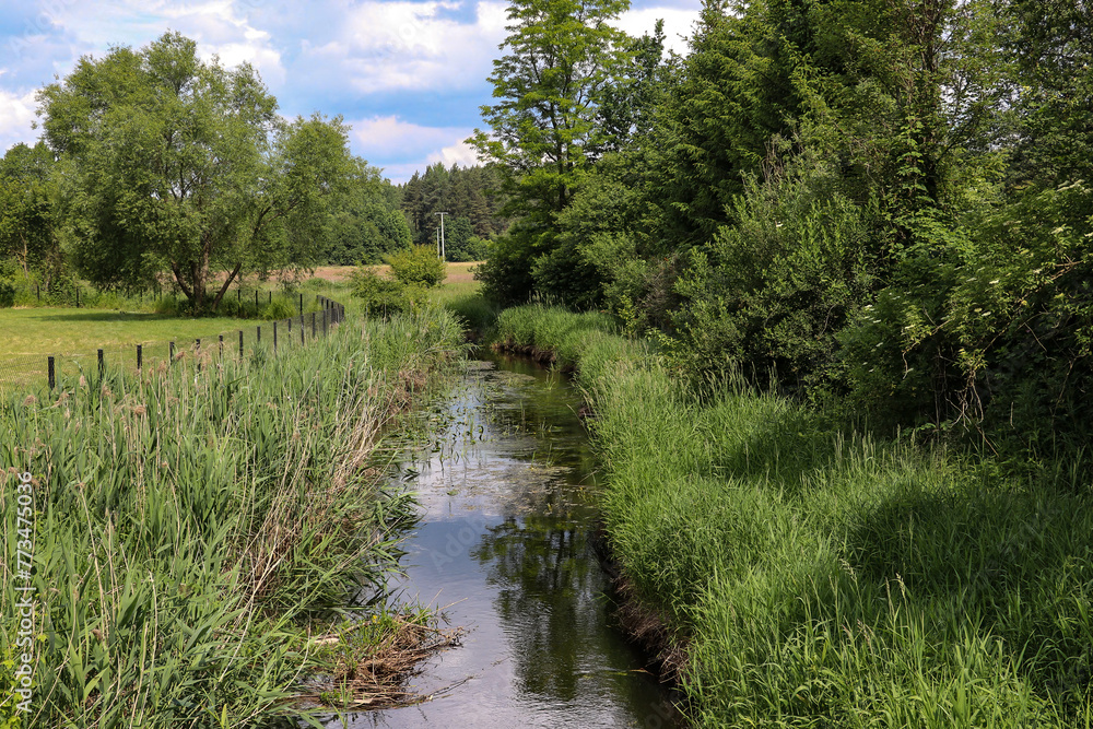 The picturesquely situated Płoska River in the small town of Królowy Most in the Podlaskie Voivodeship The picturesquely situated Płoska River in the small town of Królowy Most in the Podlaskie Voivodeship