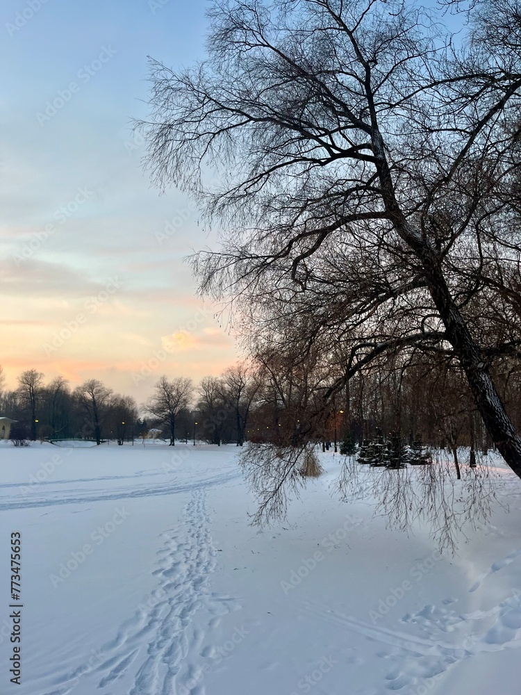 winter snowy park at the twilights time winter snowy park at the twilights time