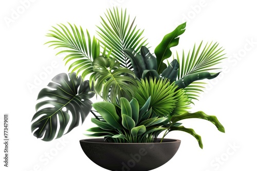 A potted plant sitting on a table  suitable for home decor and interior design projects