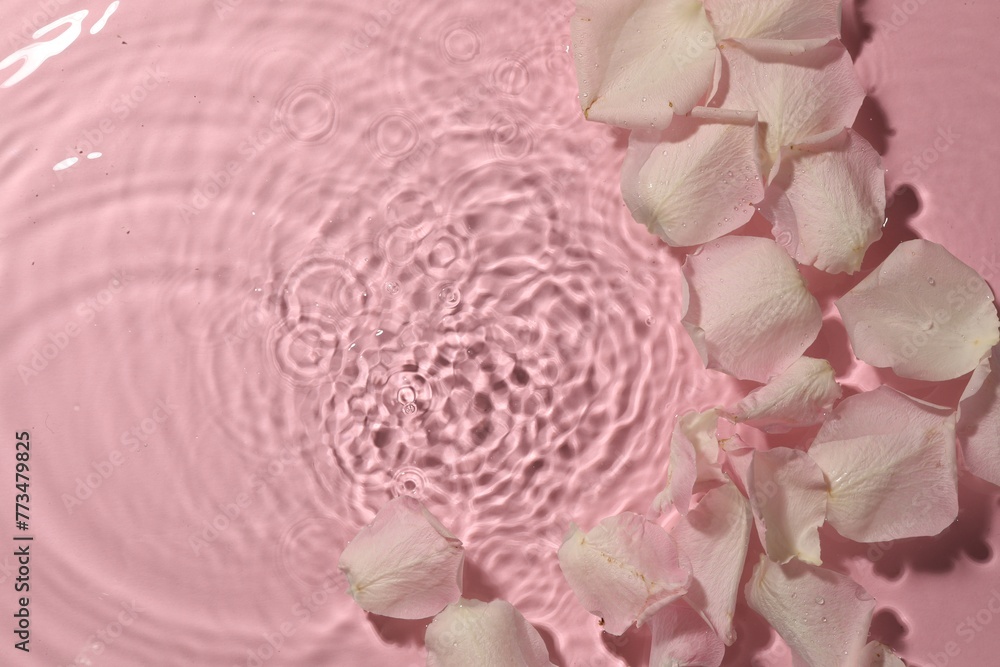 Beautiful rose petals in water on pink background, top view. Space for text Beautiful rose petals in water on pink background, top view. Space for text