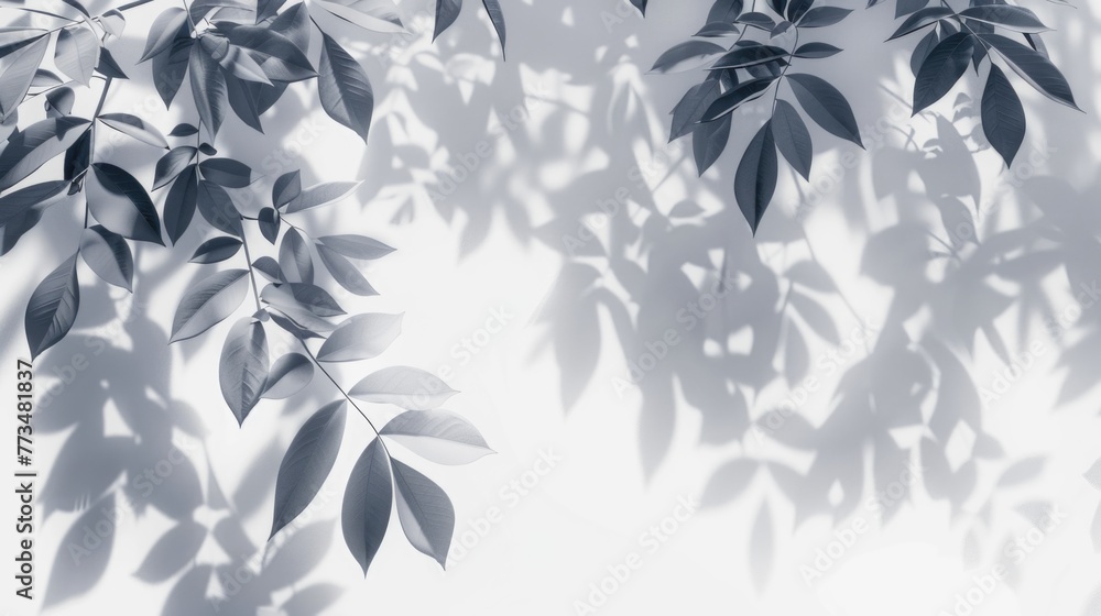 Black and white photo of leaves on a wall, suitable for interior design projects Black and white photo of leaves on a wall, suitable for interior design projects