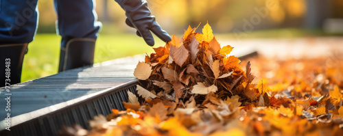 Autumn leaves work . Cleaning roof gutter from fallen leaves. photo