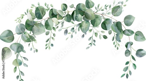 Beautiful watercolor painting of eucalyptus leaves and branches. Perfect for nature-themed designs