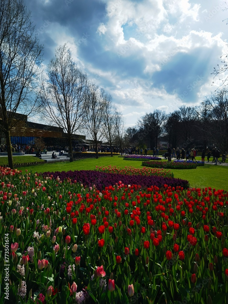 great view full of flowers in a garden in spring time great view full of flowers in a garden in spring time