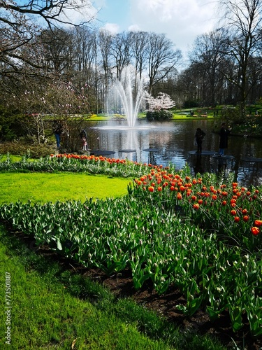 great view full of colorful tulips in a beautiful garden with pond